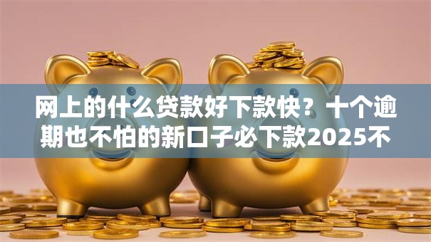 网上的什么贷款好下款快?十个逾期也不怕的新口子必下款2025不查征信 网上的什么贷款好下款快?十个逾期也不怕的新口子必下款2025不查征信