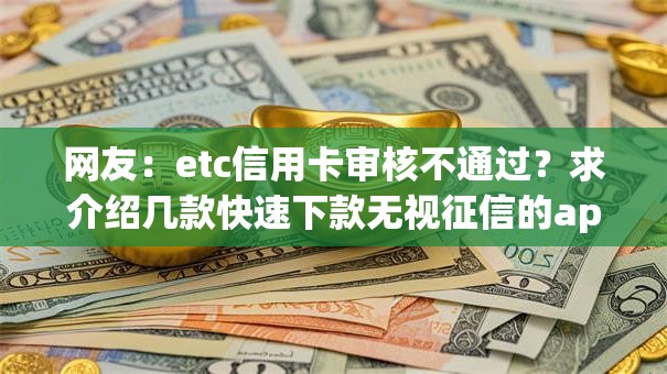 网友：etc信用卡审核不通过？求介绍几款快速下款无视征信的app