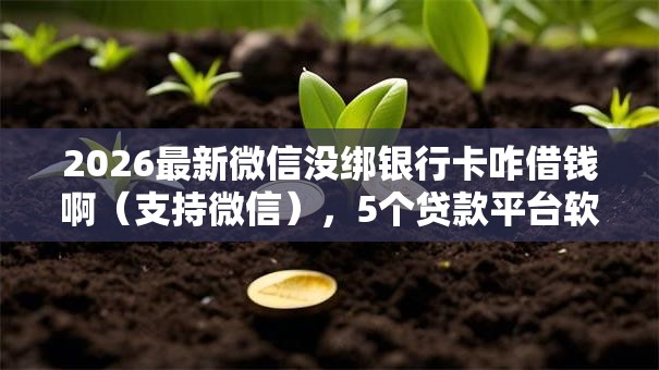 2026最新微信没绑银行卡咋借钱啊(支持微信),5个贷款平台软件无私分享 2026最新微信没绑银行卡咋借钱啊(支持微信),5个贷款平台软件无私分享
