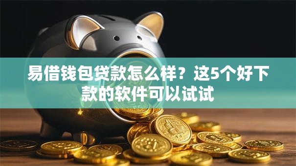 易借钱包贷款怎么样？这5个好下款的软件可以试试