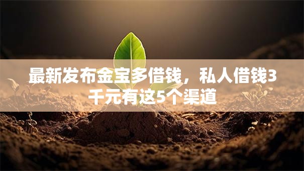 最新发布金宝多借钱,私人借钱3千元有这5个渠道 最新发布金宝多借钱,私人借钱3千元有这5个渠道