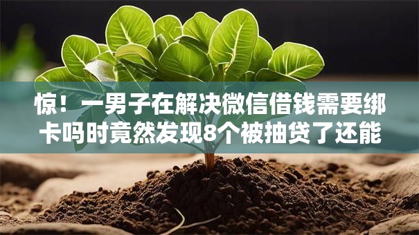 惊！一男子在解决微信借钱需要绑卡吗时竟然发现8个被抽贷了还能借钱的软件，事后分享了出来