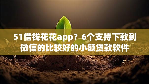51借钱花花app?6个支持下款到微信的比较好的小额贷款软件 51借钱花花app?6个支持下款到微信的比较好的小额贷款软件
