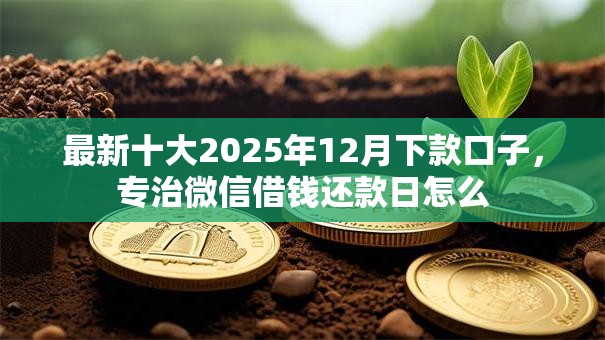 最新十大2025年12月下款口子，专治微信借钱还款日怎么