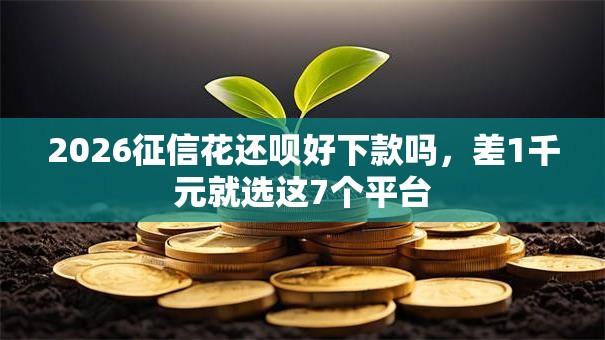 2026征信花还呗好下款吗，差1千元就选这7个平台