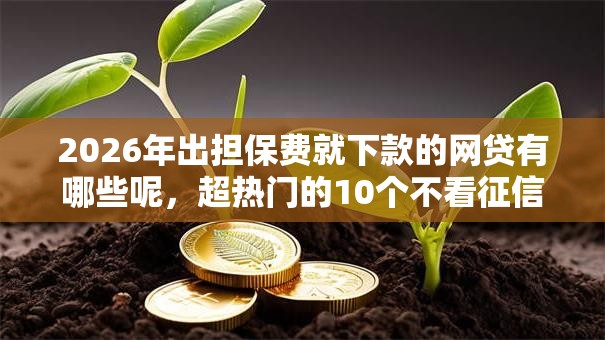 2026年出担保费就下款的网贷有哪些呢，超热门的10个不看征信的借款平台百分百推荐