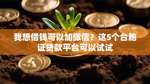 我想借钱可以加微信？这5个台胞证贷款平台可以试试