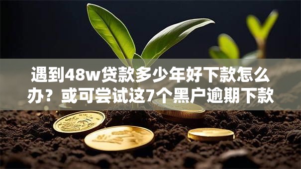 遇到48w贷款多少年好下款怎么办？或可尝试这7个黑户逾期下款平台