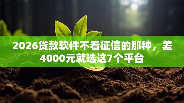 2026贷款软件不看征信的那种，差4000元就选这7个平台