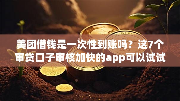 美团借钱是一次性到账吗？这7个审贷口子审核加快的app可以试试