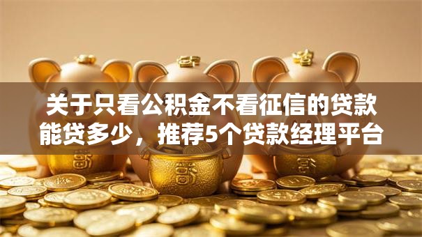 关于只看公积金不看征信的贷款能贷多少,推荐5个贷款经理平台给你 关于只看公积金不看征信的贷款能贷多少,推荐5个贷款经理平台给你