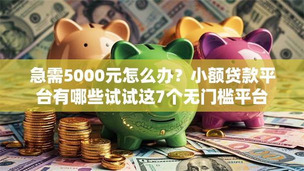 急需5000元怎么办？小额贷款平台有哪些试试这7个无门槛平台