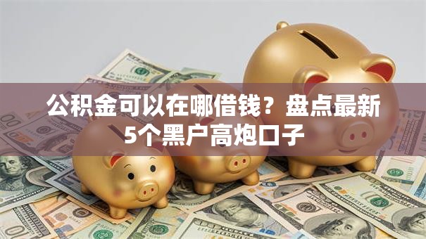 公积金可以在哪借钱？盘点最新5个黑户高炮口子