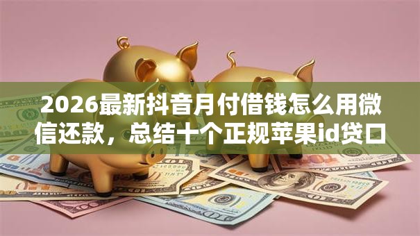 2026最新抖音月付借钱怎么用微信还款，总结十个正规苹果id贷口子2025！