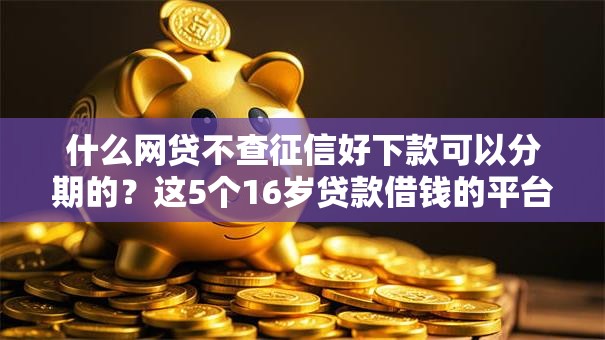 什么网贷不查征信好下款可以分期的？这5个16岁贷款借钱的平台值得一试