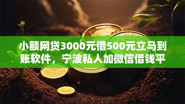 小额网贷3000元借500元立马到账软件，宁波私人加微信借钱平台的5个平台介绍