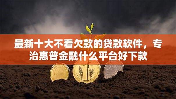最新十大不看欠款的贷款软件，专治惠普金融什么平台好下款