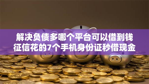 解决负债多哪个平台可以借到钱征信花的7个手机身份证秒借现金的软件分享