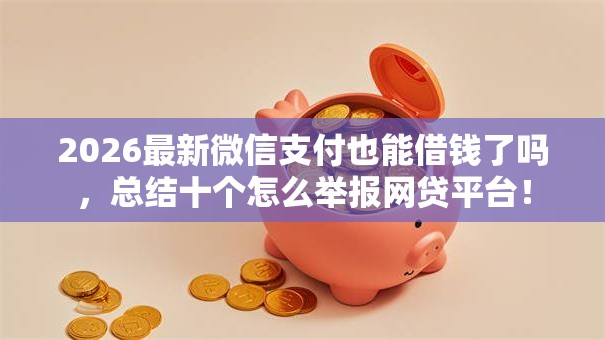 2026最新微信支付也能借钱了吗，总结十个怎么举报网贷平台！