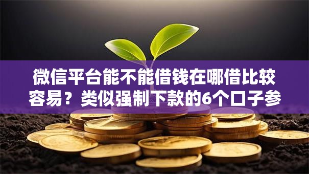 微信平台能不能借钱在哪借比较容易？类似强制下款的6个口子参考