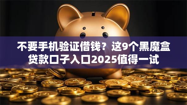 不要手机验证借钱？这9个黑魔盒贷款口子入口2025值得一试
