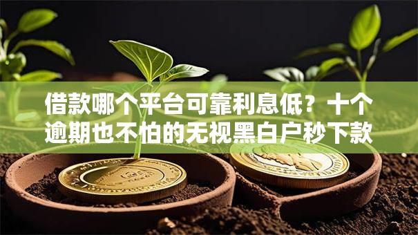 借款哪个平台可靠利息低？十个逾期也不怕的无视黑白户秒下款口子软件