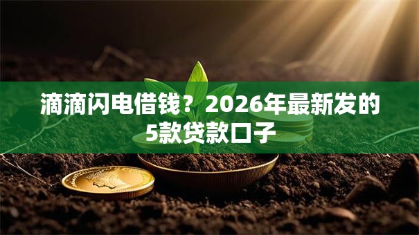 滴滴闪电借钱？2026年最新发的5款贷款口子