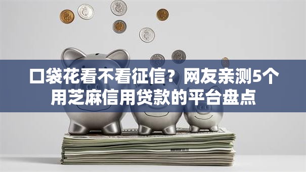 口袋花看不看征信？网友亲测5个用芝麻信用贷款的平台盘点