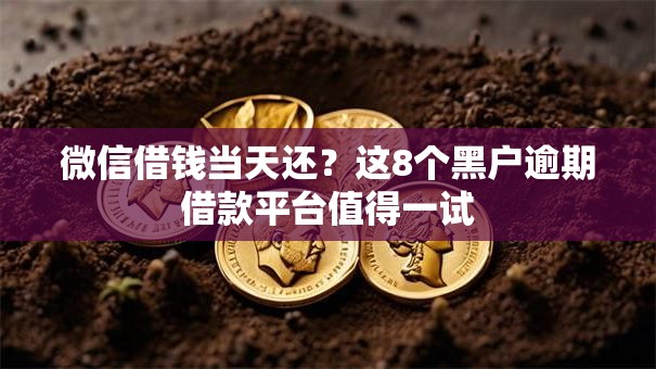 微信借钱当天还？这8个黑户逾期借款平台值得一试