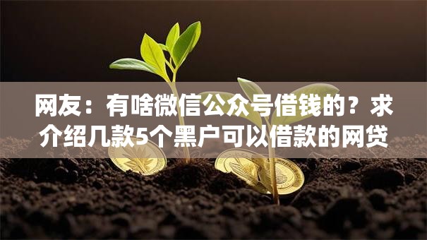 网友：有啥微信公众号借钱的？求介绍几款5个黑户可以借款的网贷app