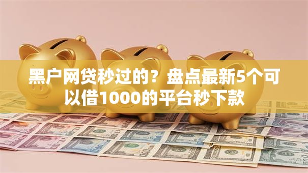 黑户网贷秒过的？盘点最新5个可以借1000的平台秒下款