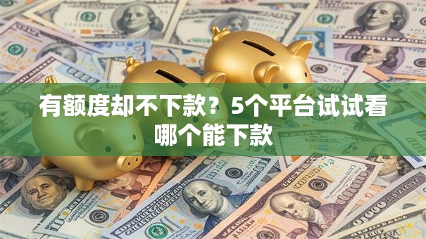 有额度却不下款？5个平台试试看哪个能下款