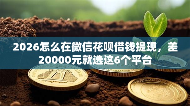 2026怎么在微信花呗借钱提现，差20000元就选这6个平台