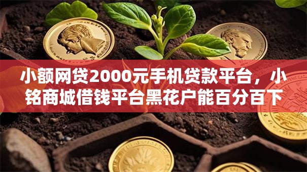 小额网贷2000元手机贷款平台，小铭商城借钱平台黑花户能百分百下款吗的6个平台介绍