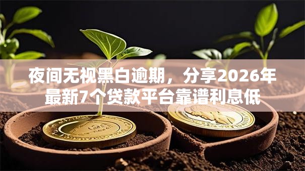 夜间无视黑白逾期，分享2026年最新7个贷款平台靠谱利息低