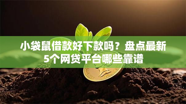小袋鼠借款好下款吗？盘点最新5个网贷平台哪些靠谱