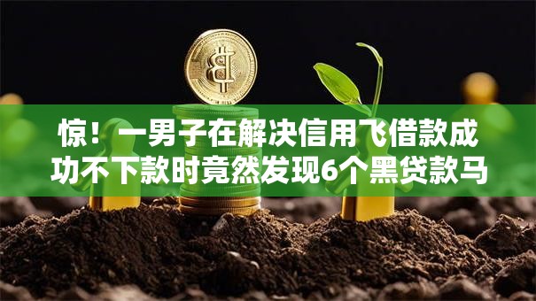惊！一男子在解决信用飞借款成功不下款时竟然发现6个黑贷款马上下款的口子2025，事后分享了出来