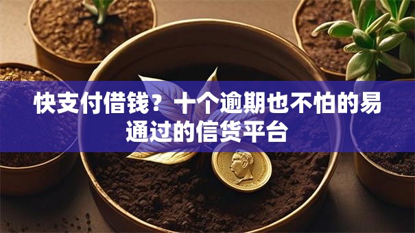 快支付借钱？十个逾期也不怕的易通过的信货平台