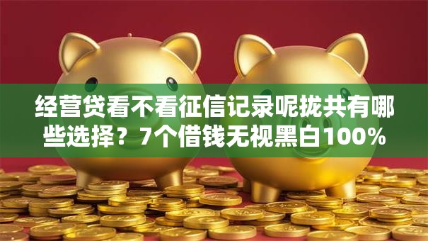 经营贷看不看征信记录呢拢共有哪些选择？7个借钱无视黑白100%秒下口子详解