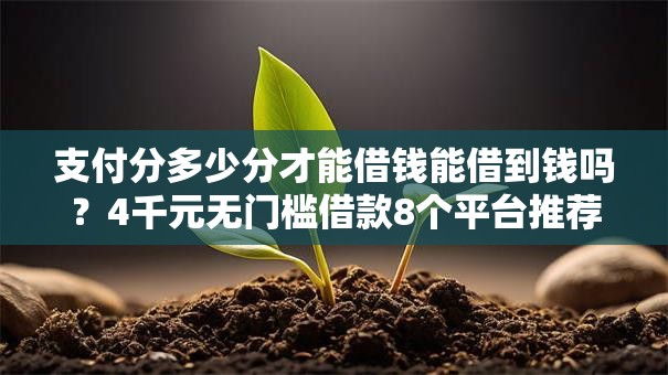 支付分多少分才能借钱能借到钱吗？4千元无门槛借款8个平台推荐