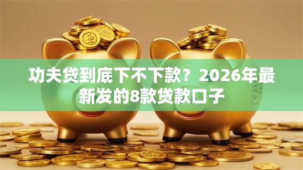 功夫贷到底下不下款？2026年最新发的8款贷款口子