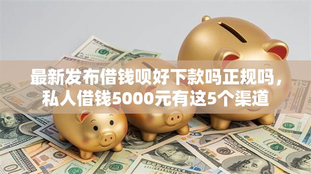 最新发布借钱呗好下款吗正规吗，私人借钱5000元有这5个渠道
