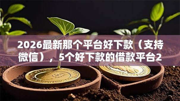 2026最新那个平台好下款（支持微信），5个好下款的借款平台2025无私分享