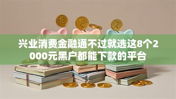 兴业消费金融通不过就选这8个2000元黑户都能下款的平台