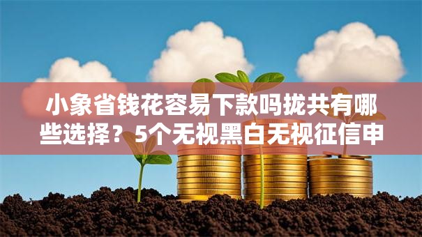 小象省钱花容易下款吗拢共有哪些选择？5个无视黑白无视征信申请就下款的平台详解