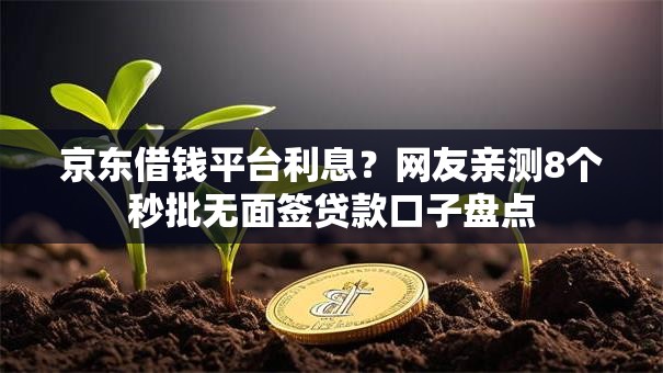 京东借钱平台利息？网友亲测8个秒批无面签贷款口子盘点