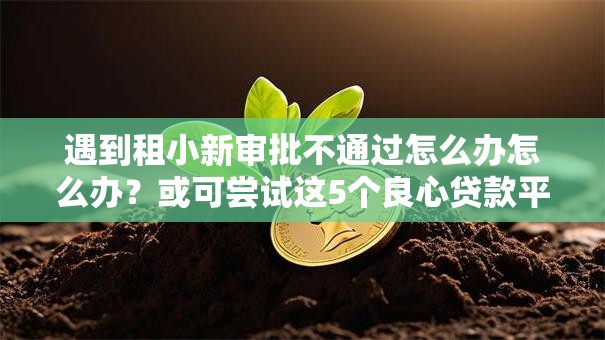 遇到租小新审批不通过怎么办怎么办？或可尝试这5个良心贷款平台