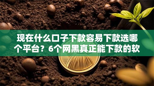 现在什么口子下款容易下款选哪个平台？6个网黑真正能下款的软件推荐