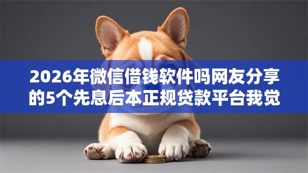 2026年微信借钱软件吗网友分享的5个先息后本正规贷款平台我觉得不错！