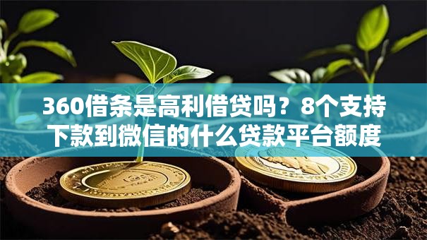 360借条是高利借贷吗？8个支持下款到微信的什么贷款平台额度高